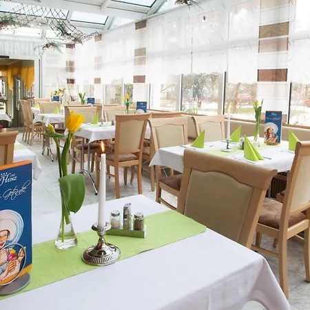 Heinz 3* Plauen