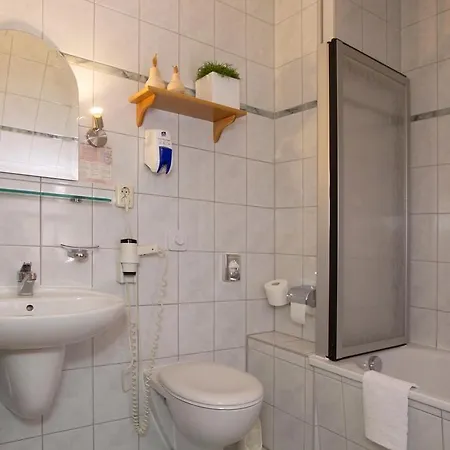 Heinz 3* Plauen